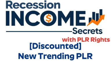 Recession Income Secrets with PLR Rights Review Bonus - Investment and Business Tips