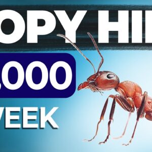 How This Ant Makes $1000/Day Online